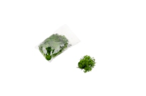 MOSS 15GRS DARK GREEN