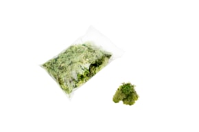 MOSS 100GRS LIGHT GREEN