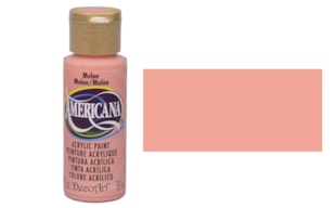 PAINT 59ML DA251 MELON AMERICANA