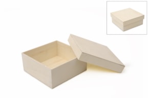 BOX  19X19X8CM