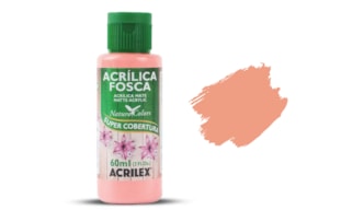 ACRILIC PAINT 60ML NATURE COLORS SALMAO BB 03560812 ACRILEX