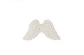 SET 2 ALAS 8X4.5CM
