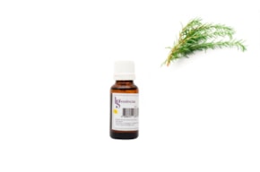 ESSENCE 20ML ROSEMARY