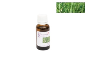 ESSENCE 20ML VETIVER