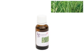 ESSENCE 20ML VETIVER