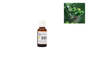 ESENCIA 20ML PINO