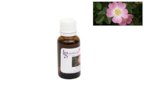 ESSENCE 20ML ROSA MOSCHATA