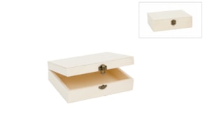 BOX 20X15X6CM