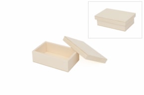 CAJA 14X9X4CM