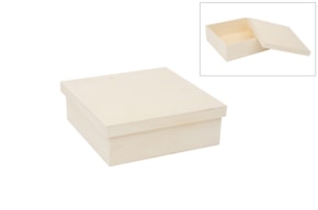 CAJA 23X23X8CM