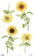 RICE PAPER 54X33CM SUNFLOWERS PFY-4323