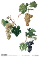 RICE PAPER 21x29.7CM GRAPES PFY-4518