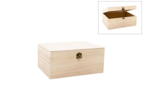 BOX 25X19.5X11.5CM