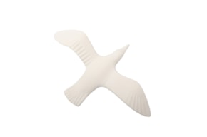 GAIVOTA ALAS DOBRADAS 25X16.5X5CM