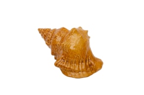 BUZIO 1 GR. 22X13X12CM MEL