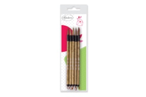 SET 5 BRUSHES  80123