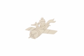 PRINCE IN THE AIRPLAIN