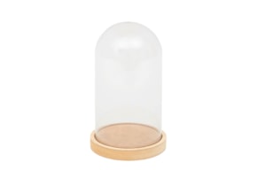 BOX WITH PLASTIC CLOCHE 11.5X19X1.6CM MDF