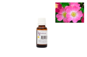 ESENCIA 50ML ROSA MOSQUETA