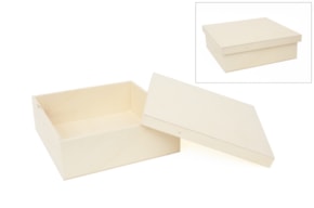 CAJA 31.5X31.5X10CM