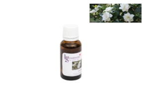 ESSENCE 20ML GARDENIA