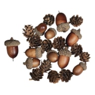 SORTIDO 27 BELLOTAS  2 - 4CM RAYHER