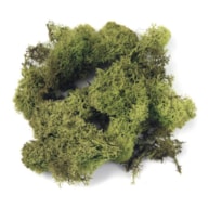 MUSGO VERDE CLARO 100GRS RAYHER