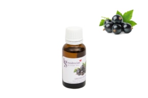 ESSENCIA 20ML GROSELLA NEGRA