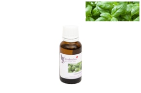 ESSENCIA 20ML ALBAHACA
