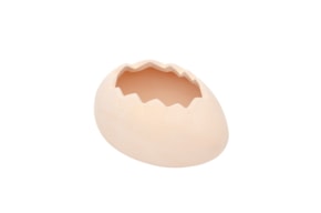 HUEVO ABIERTO 17.5X9CM