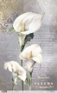 PAPEL ARROZ 54X33CM LA VIE EN FLEURS CALLA LILY IV PFY-12741