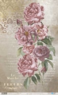 RICE PAPER 54X33CM LA VIE EN FLEURS ROSES IV PFY-12718