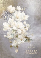 TELA DECORADA 70X50CM LA VIE EN FLEURS MAGNOLIAIV PFY-12792