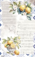 RICE PAPER 54X33CM LEMON VI PFY-13765