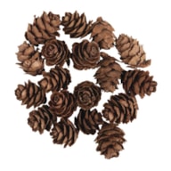 SET 18 MINI PINHAS 1.5 - 2CM  RAYHER