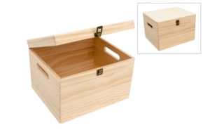 CAJA 30.3X25.3X20CM