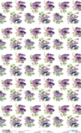 PAPEL ARROZ 54X33CM FRUIT S MARKET II  GRAPE PFY-14222