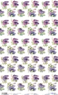 PAPEL ARROZ 54X33CM FRUIT S MARKET II  GRAPE PFY-14222