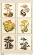 PAPEL ARROZ 54X33CM BOTANIC PFY-14596