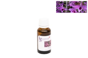 ESSENCIA 20ML ORQUIDANA