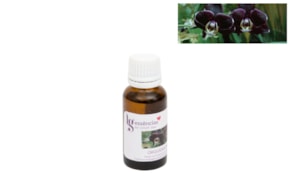 ESSENCIA 20ML ORQUIDEA NEGRA
