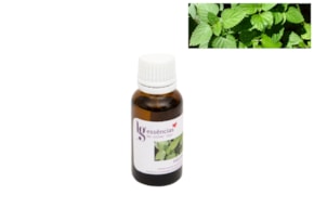 ESSENCIA 20ML MELISSA