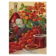 RICE PAPER  32x45CM JAPANESE WINEBERRY 2390-9521