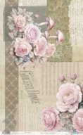 RICE PAPER 54X33CM BLUSHROOMS II  PFY-15105