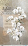 PAPEL ARROZ 54X33CM LA VIE EN FLEURS WHITE ORCHID  PFY-15084