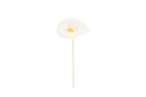 FLOWER D.7.5 X 24CM WHITE