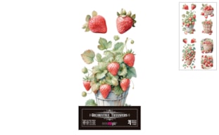 DECOR TRANSFERS 15X30CM FRESAS PFY-15715