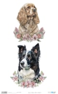 PAPEL ARROZ 54X33CM PERROS PFY-15565
