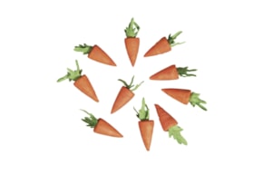 SET 10 CENOURAS DE ALGODAO 18MM  RAYHER