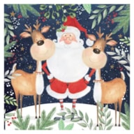 PAQUETE 20 SERVILLETAS 33x33CM NAVIDAD SANTA 303550